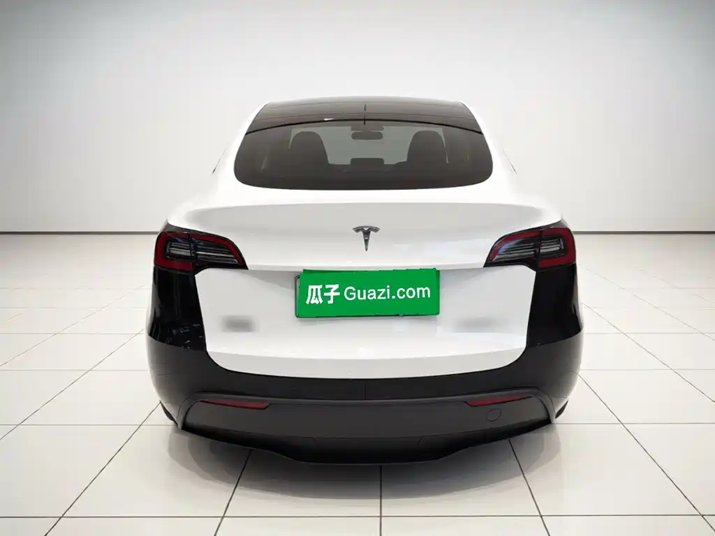 Tesla Model Y — миниатюра 3