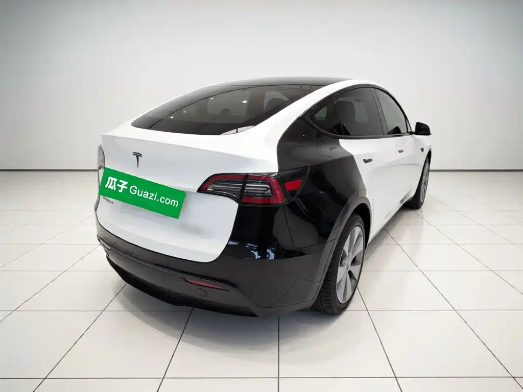 Tesla Model Y — миниатюра 4
