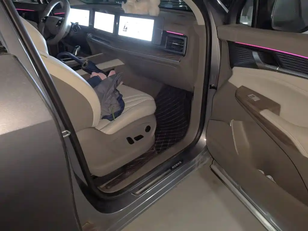 Roewe RX9 2.0T 2WD Premium Edition, фото 19