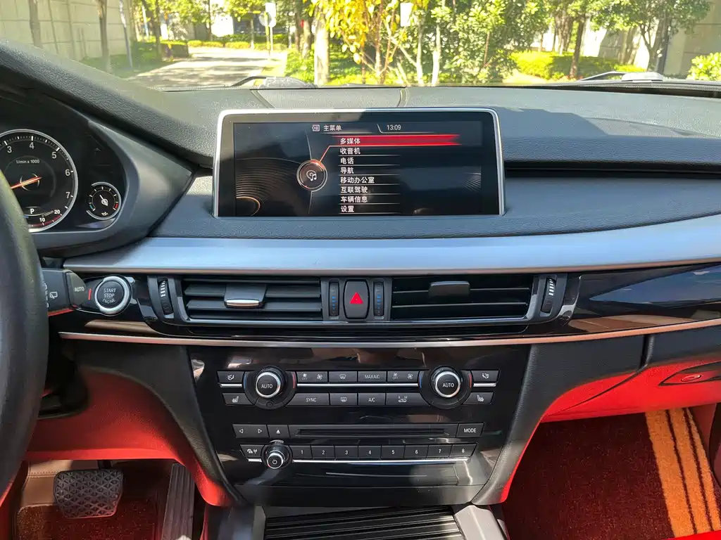 BMW X5 (Import) — миниатюра 11