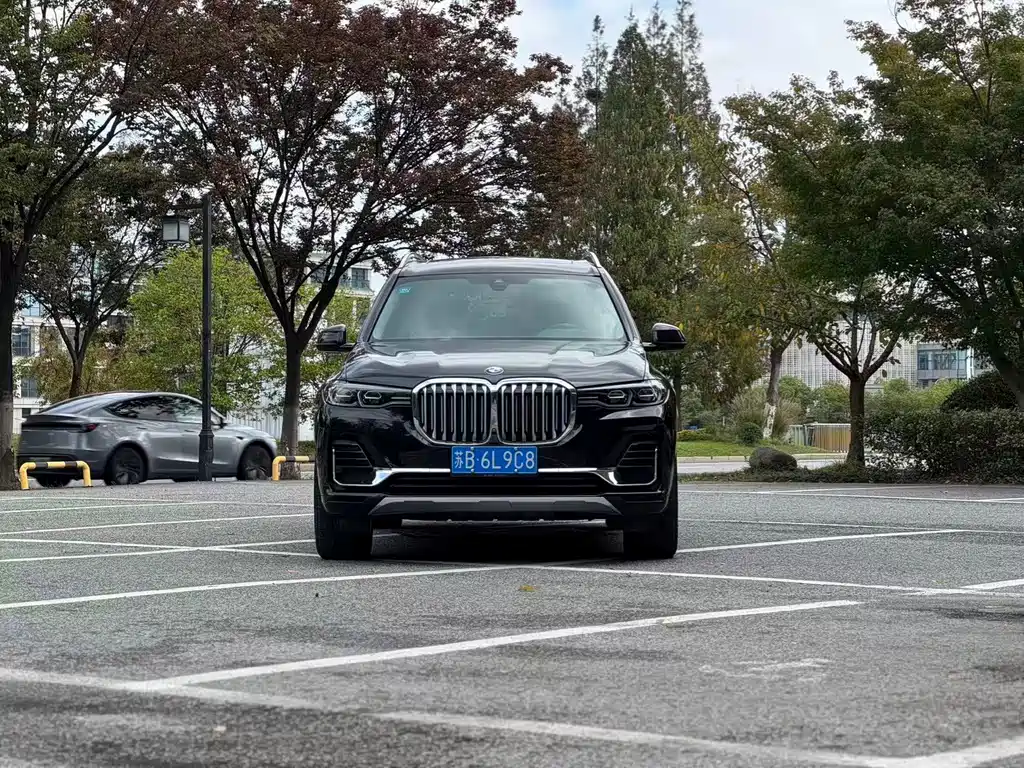 BMW X7 — миниатюра 2