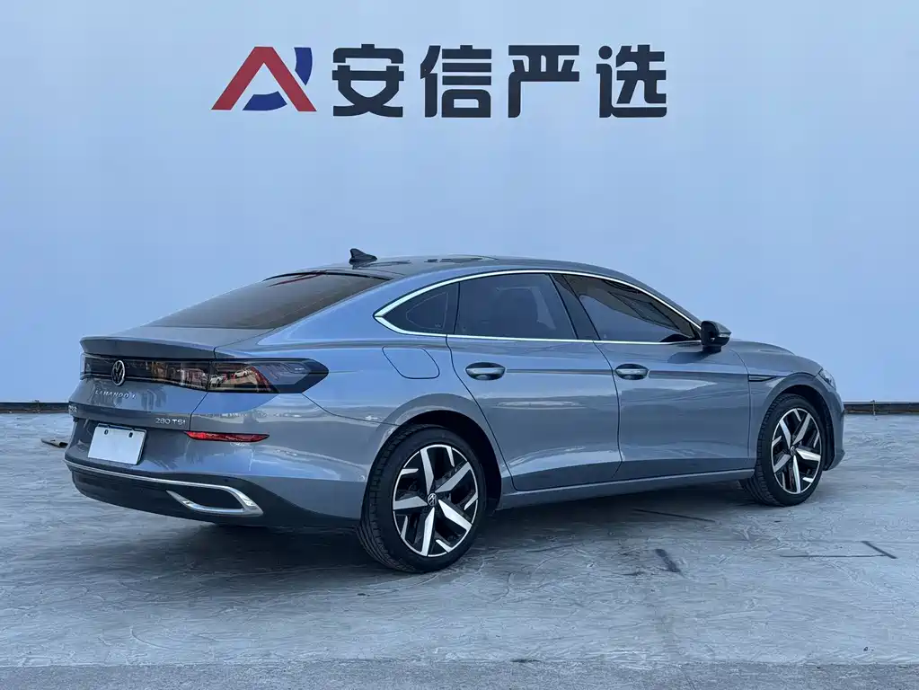 Volkswagen Lamando — миниатюра 6