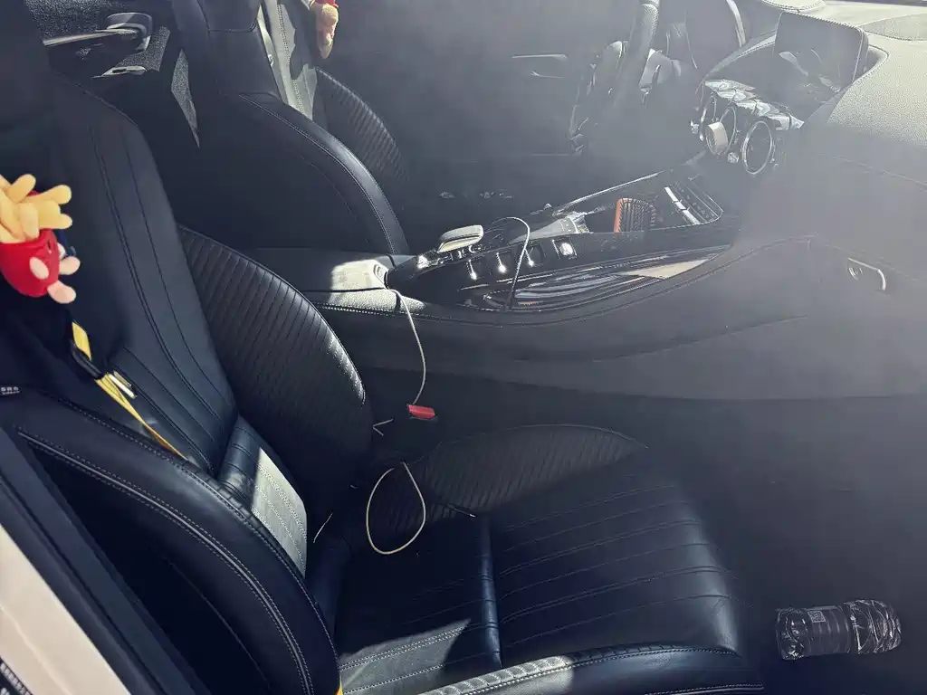 Mercedes-Benz AMG GT AMG GT, фото 8