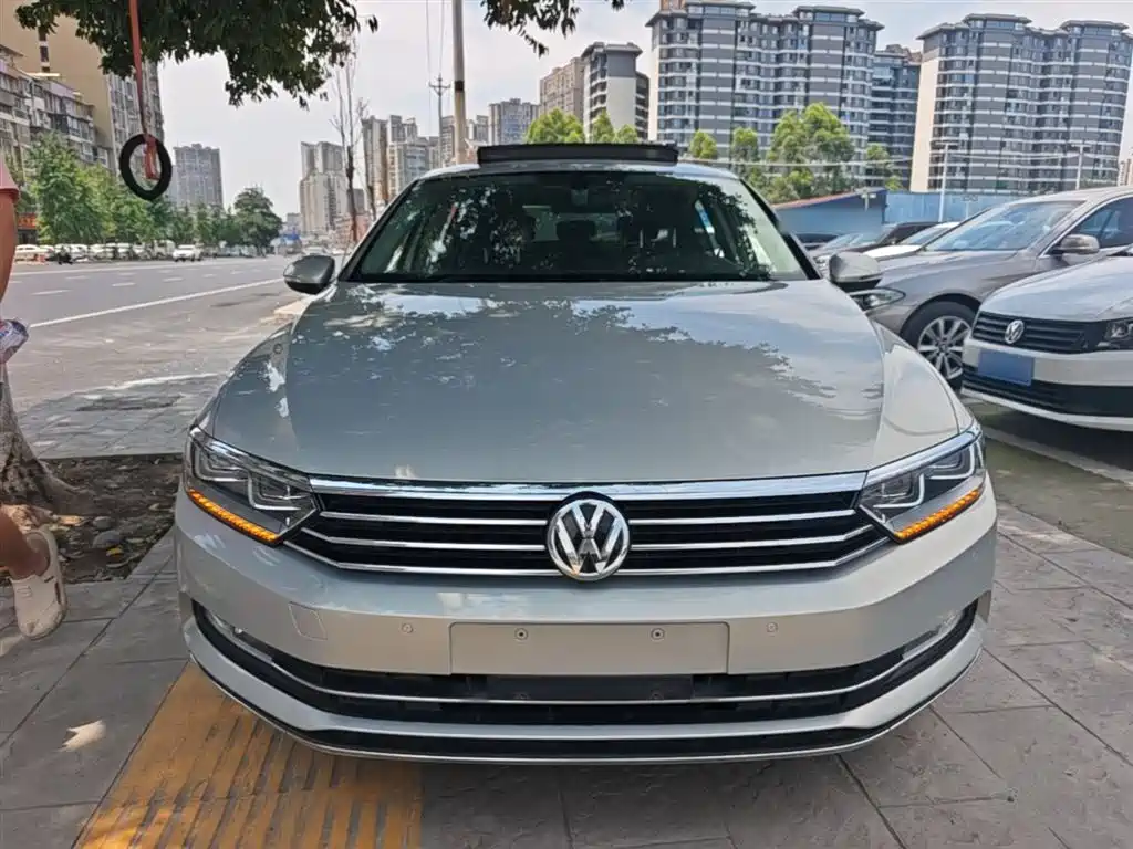 Volkswagen Magotan 2019 330TSI DSG Luxury VI