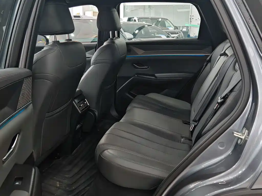 BYD Pro New Energy — миниатюра 5