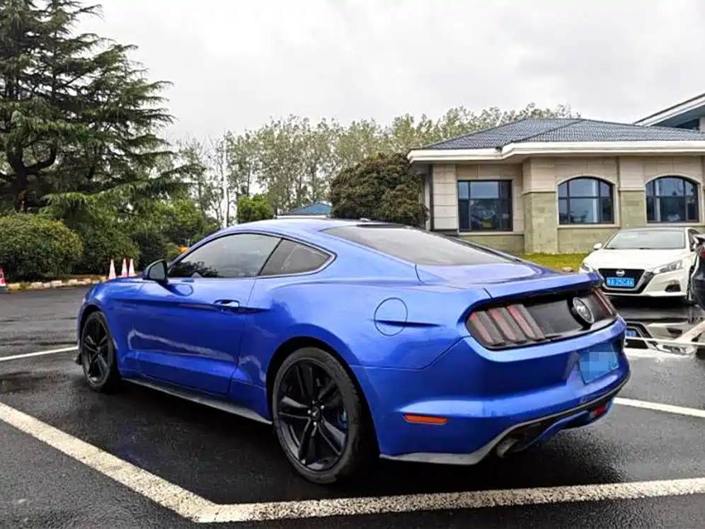 Ford Mustang — миниатюра 4