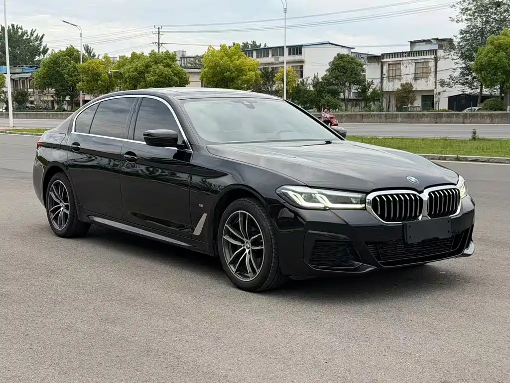 BMW 5 Series — миниатюра 3