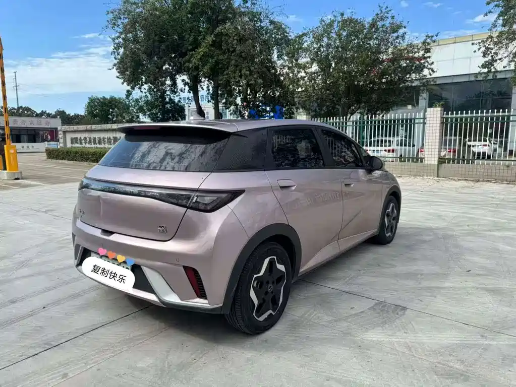 BYD Dolphin — миниатюра 8