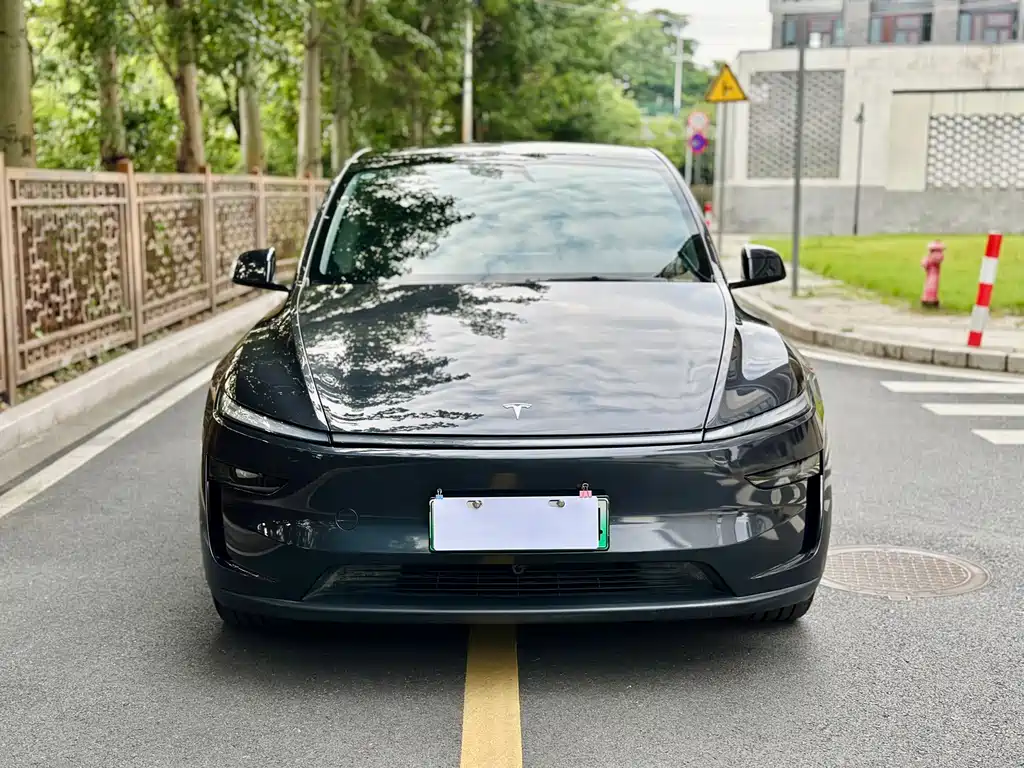 Tesla Model Y — миниатюра 2