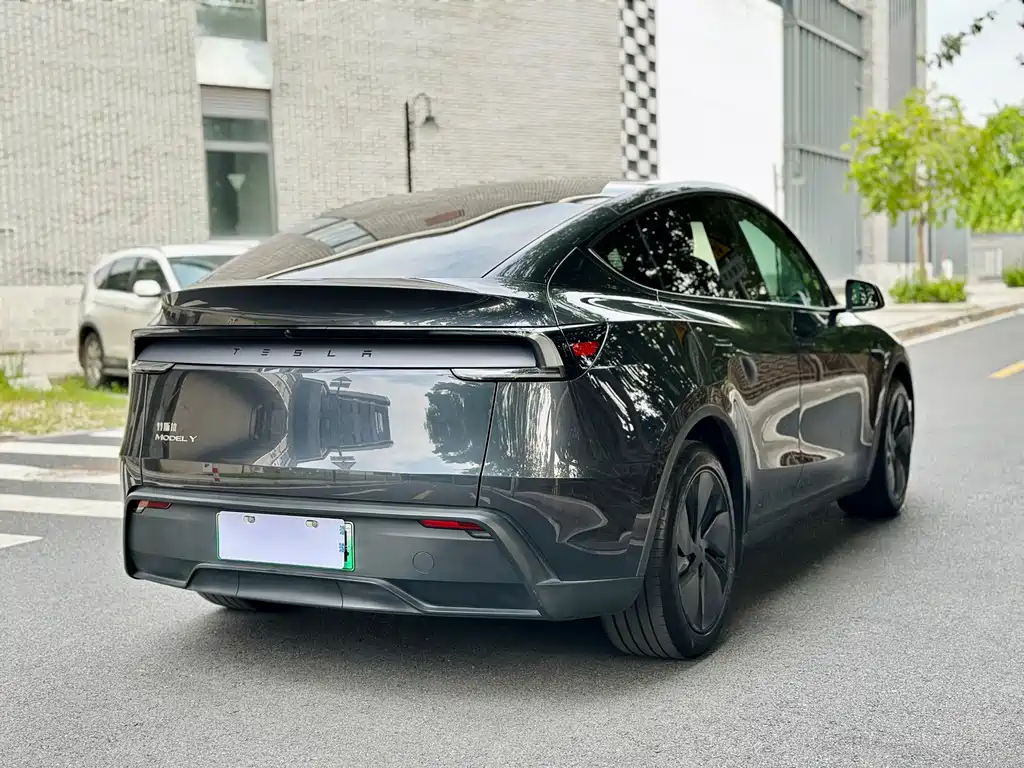 Tesla Model Y — миниатюра 6