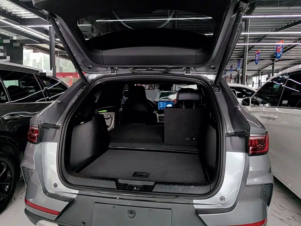 BYD PLUS New Energy — миниатюра 19