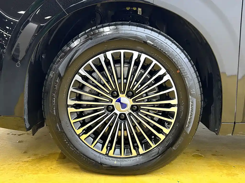 Denza Denza D9 — миниатюра 10