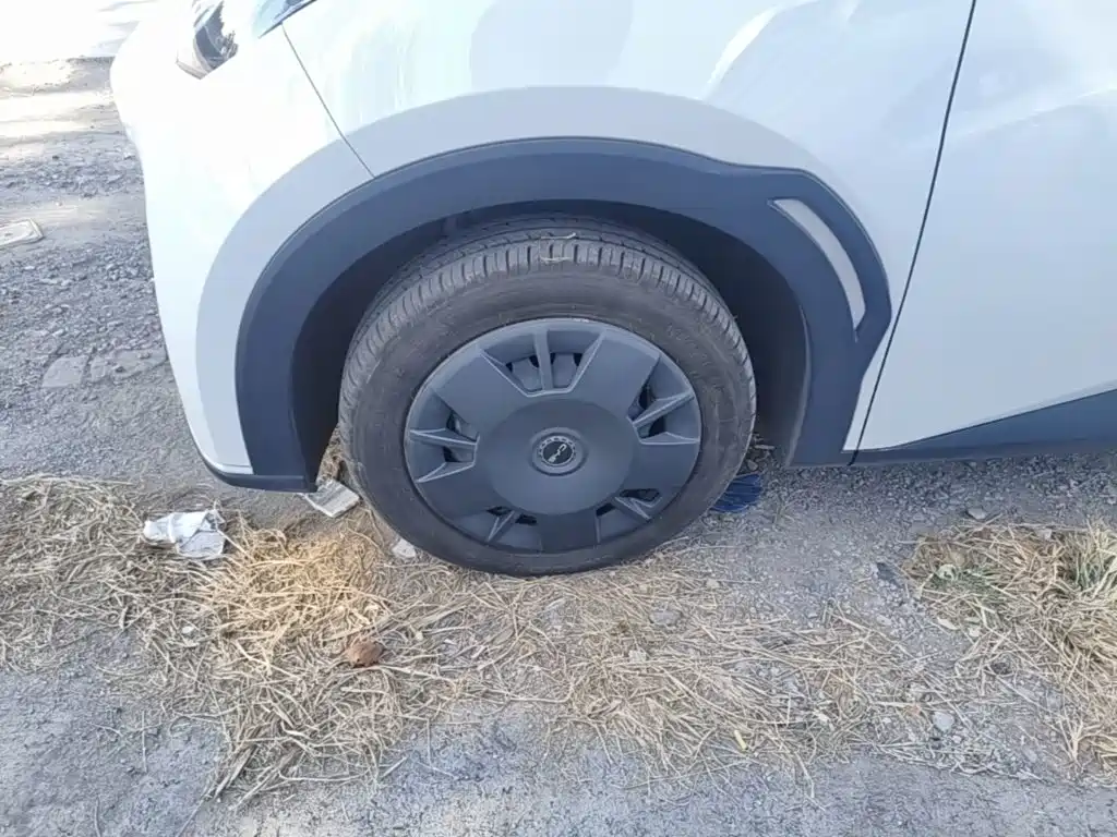 BYD Seagull — миниатюра 23
