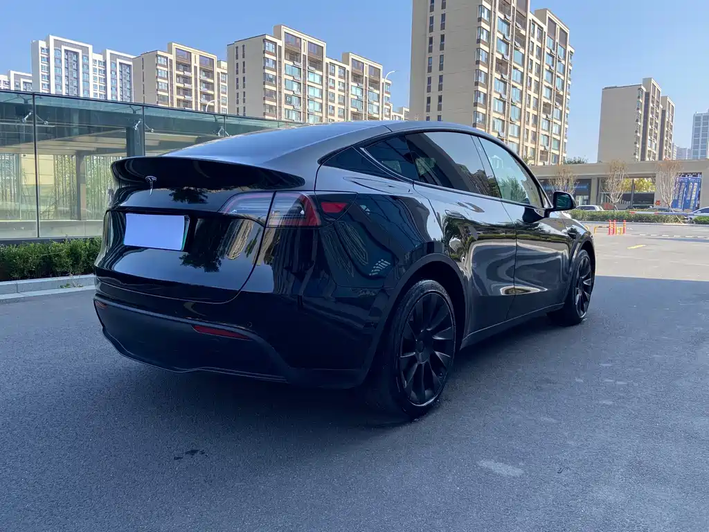 Tesla Model Y — миниатюра 5