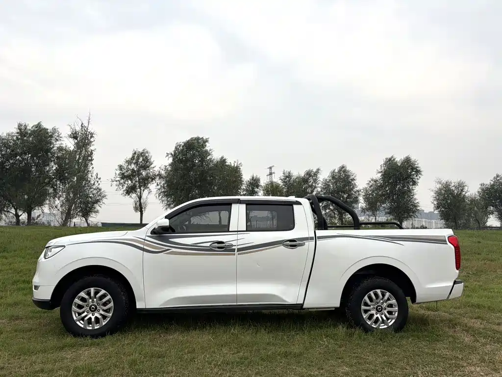 Great Wall Pao — миниатюра 10