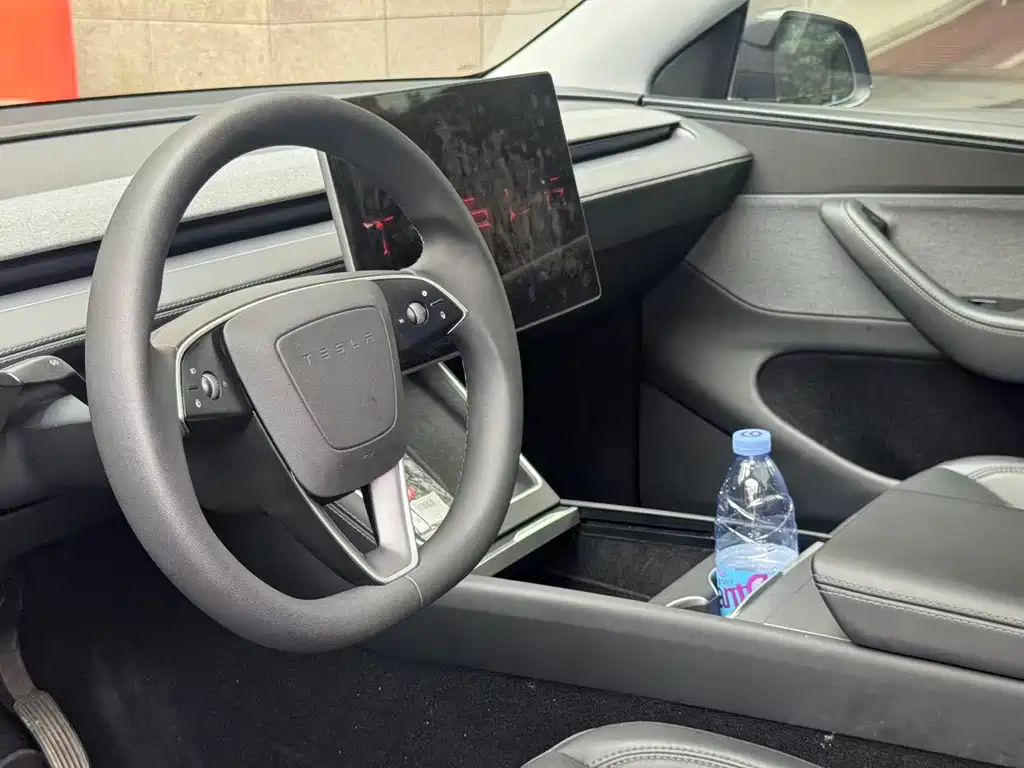 Tesla Model Y — миниатюра 5