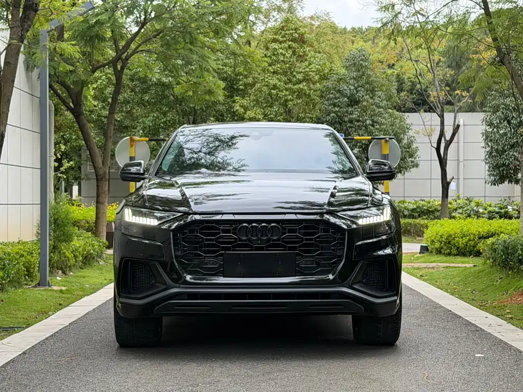 Audi Q8 — миниатюра 2