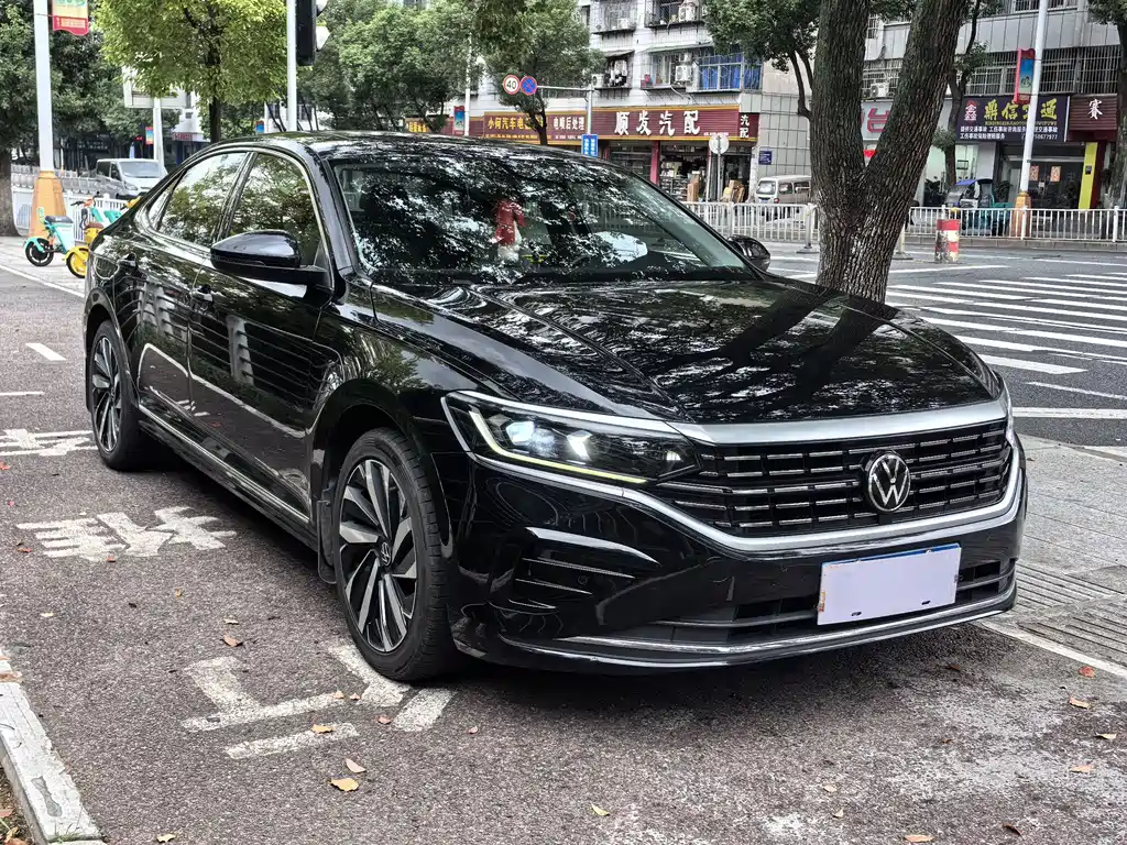 Volkswagen Passat — миниатюра 3