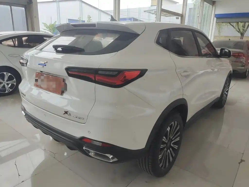 Oshan Oushang X5 — миниатюра 7