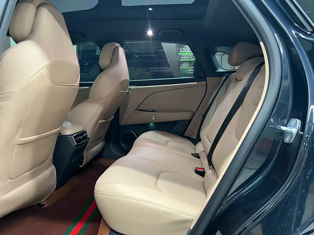 ARCFOX EXTREME FOX POLAR FOX ALPHA T5