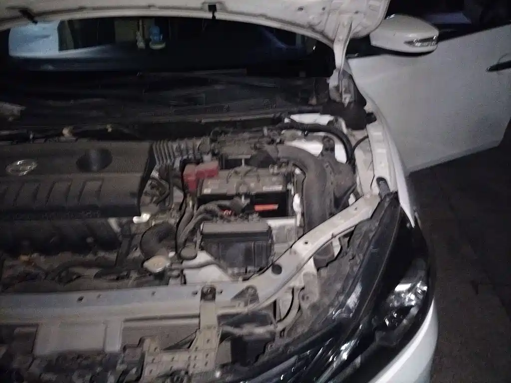 Nissan Sylphy — миниатюра 20