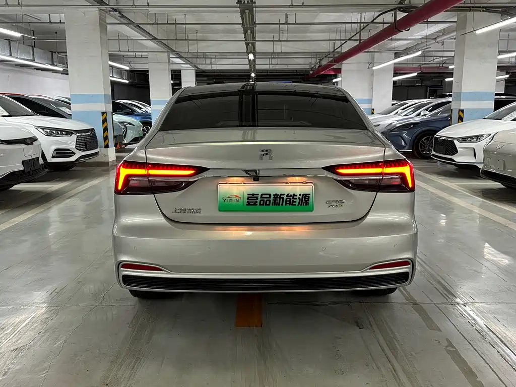 RISING AUTO FEIFAN ER6