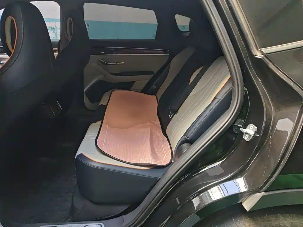 BYD PLUS New Energy — миниатюра 13