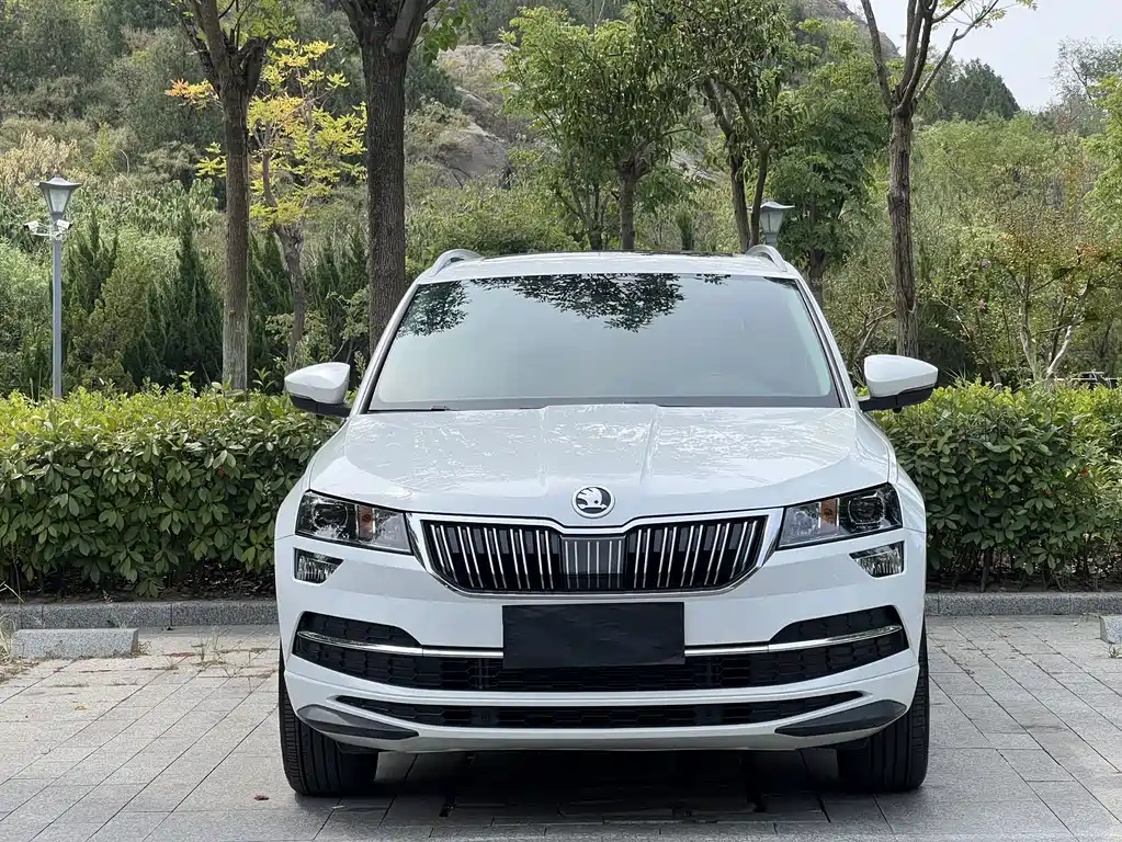 Skoda Karoq — миниатюра 2