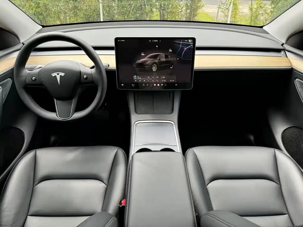 Tesla Model Y — миниатюра 8