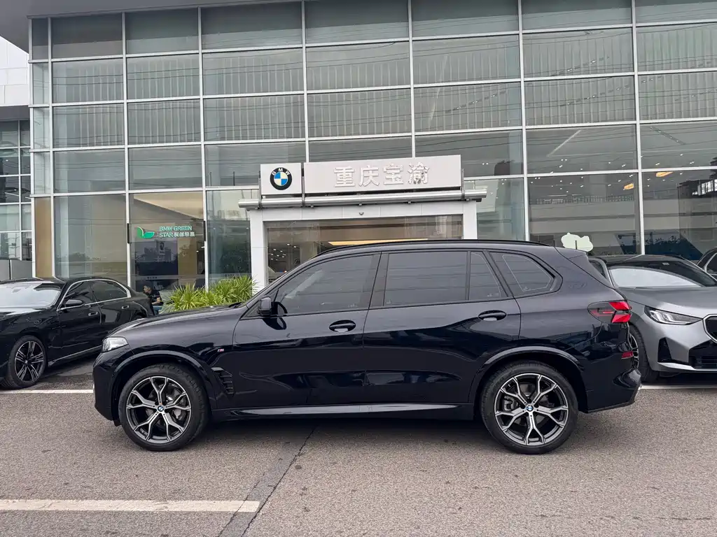 BMW X5 — миниатюра 19