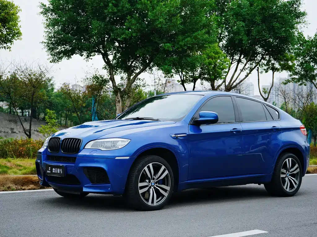 BMW X6 M 2010 X6 M