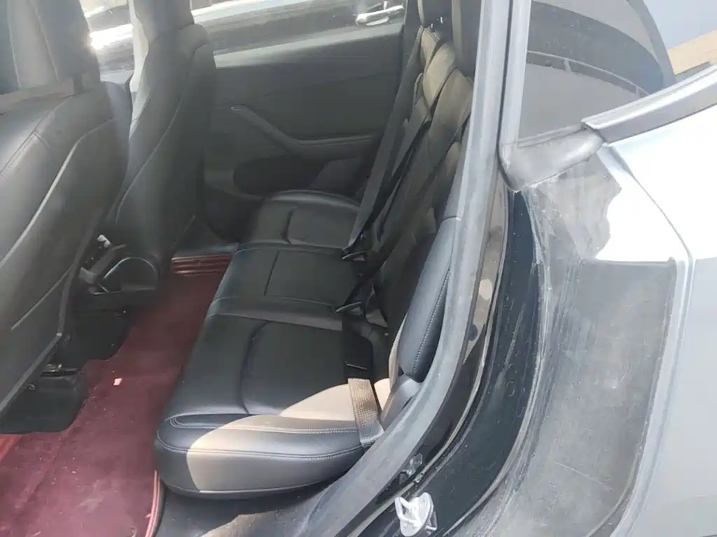 Tesla Model Y — миниатюра 22