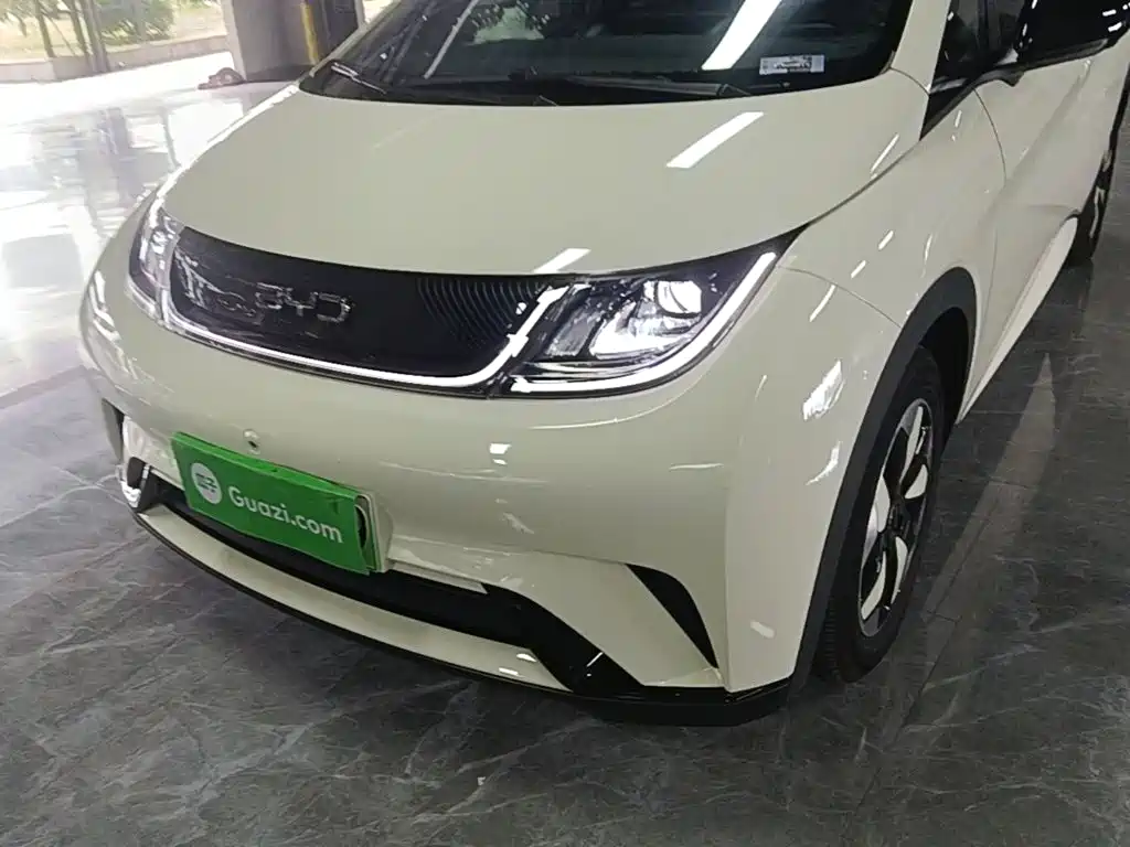 BYD Dolphin — миниатюра 24