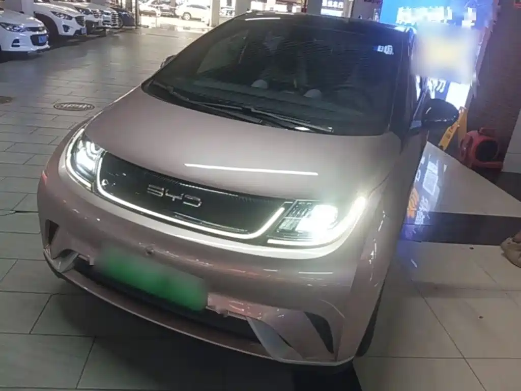 Byd Dolphin 2022