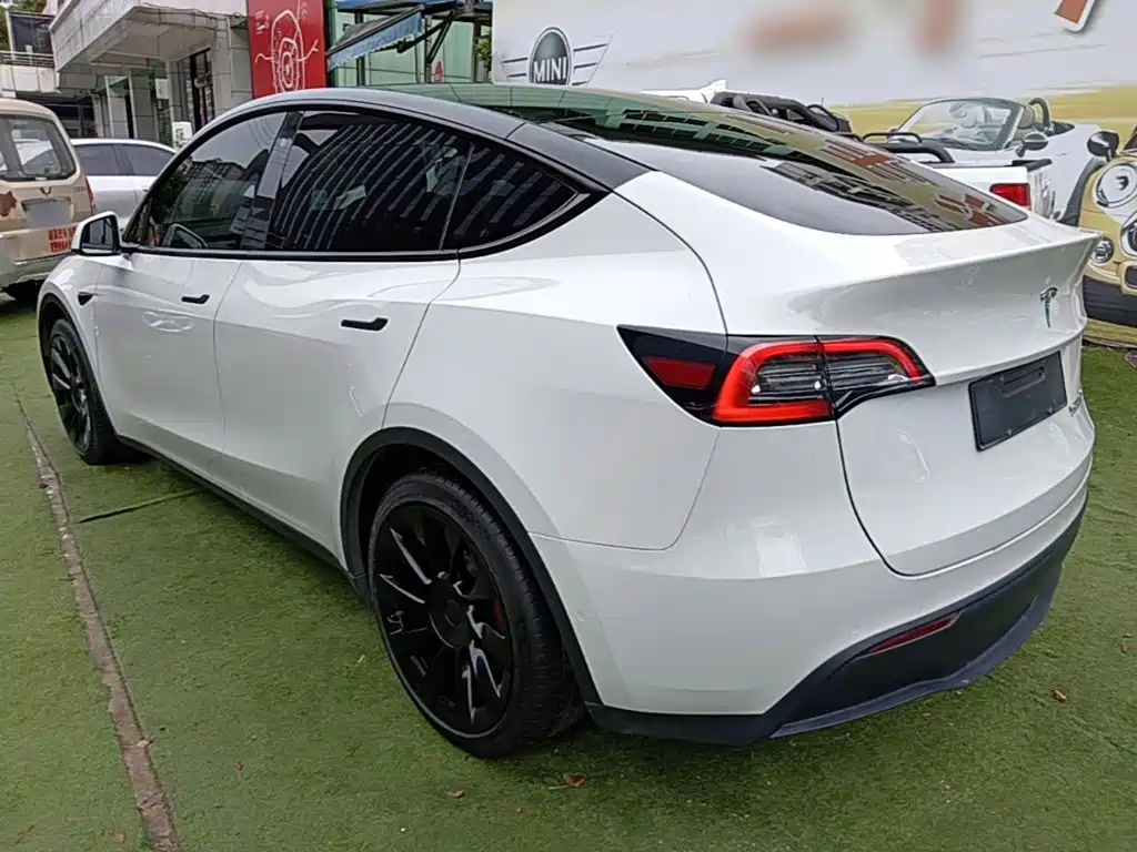 Tesla Model Y — миниатюра 5