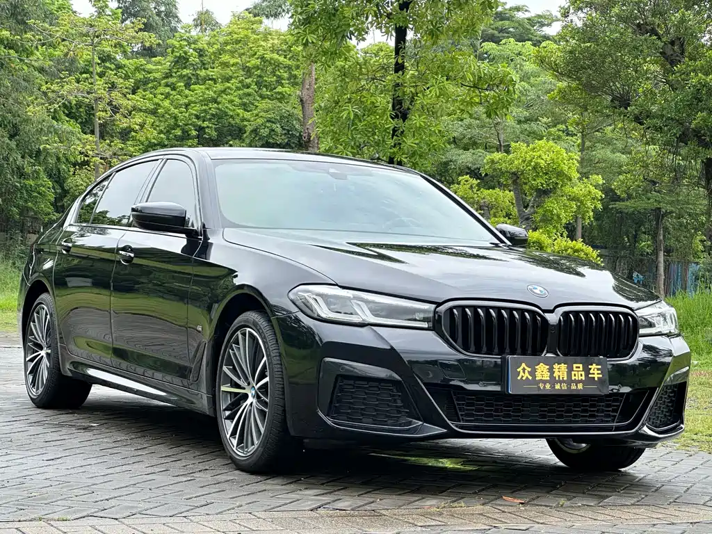 BMW 5 Series — миниатюра 3
