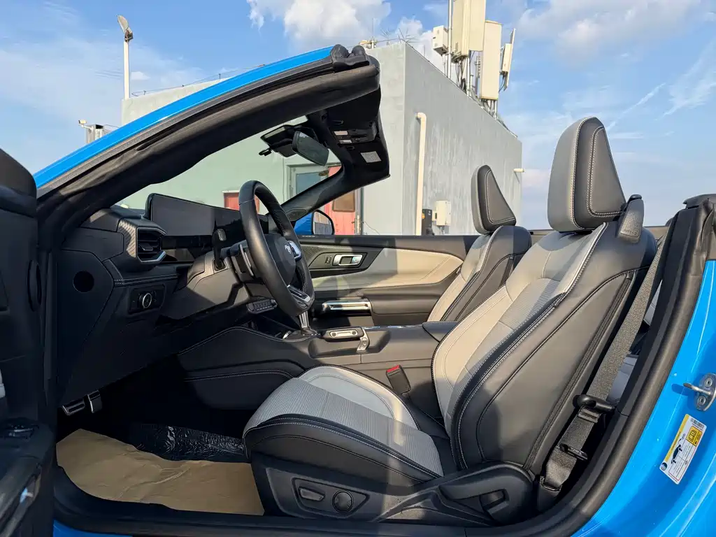 Ford Mustang — миниатюра 16