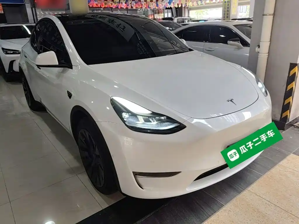 Tesla Model Y — миниатюра 4