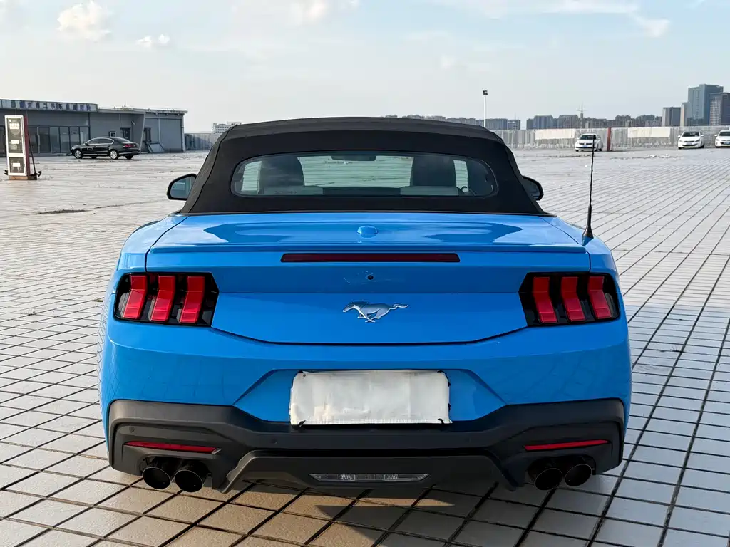 Ford Mustang — миниатюра 12