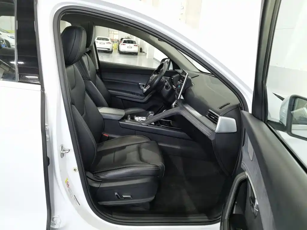 BYD Pro New Energy — миниатюра 23