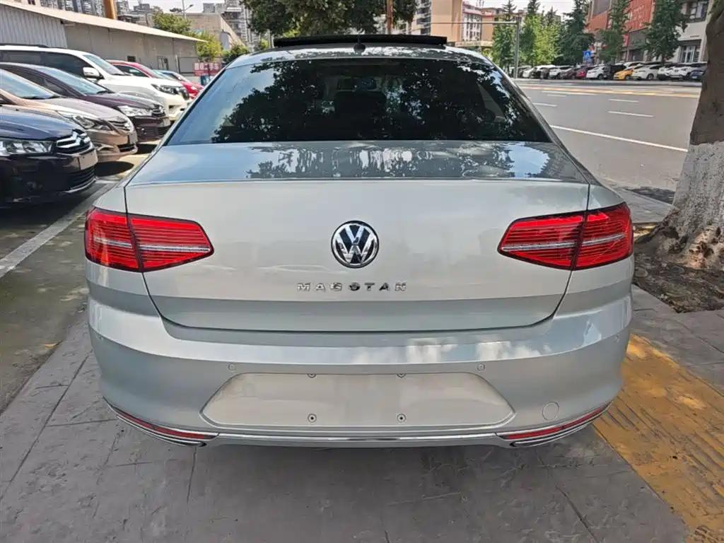 Volkswagen Magotan 2019 330TSI DSG Luxury VI