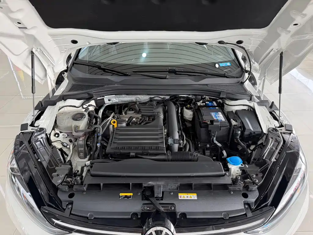 Volkswagen Lamando — миниатюра 11
