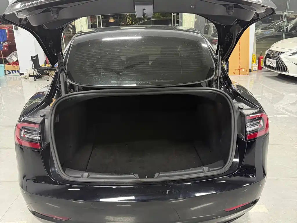 Tesla Model 3 — миниатюра 5