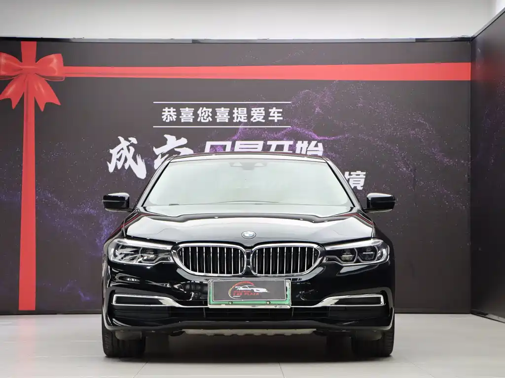 BMW 5 Series New Energy — миниатюра 2