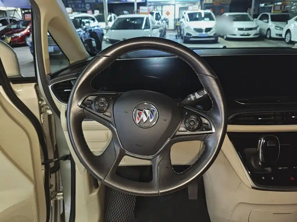 Buick GL8 — миниатюра 11