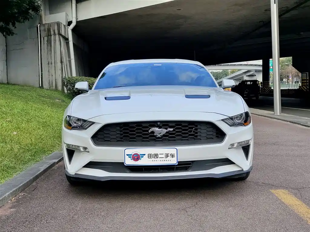 FORD MUSTANG
