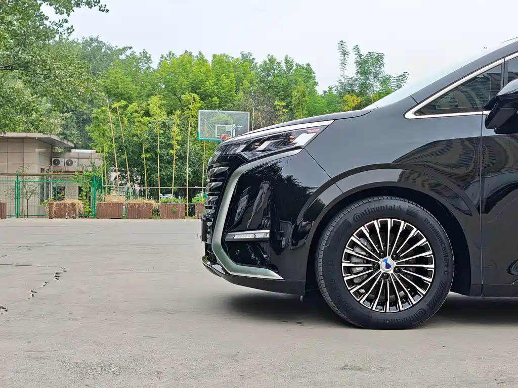 Denza Denza D9 — миниатюра 14