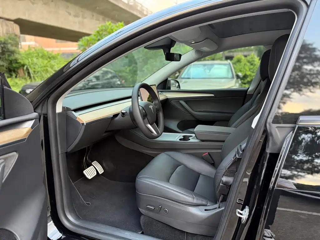 Tesla Model Y — миниатюра 7