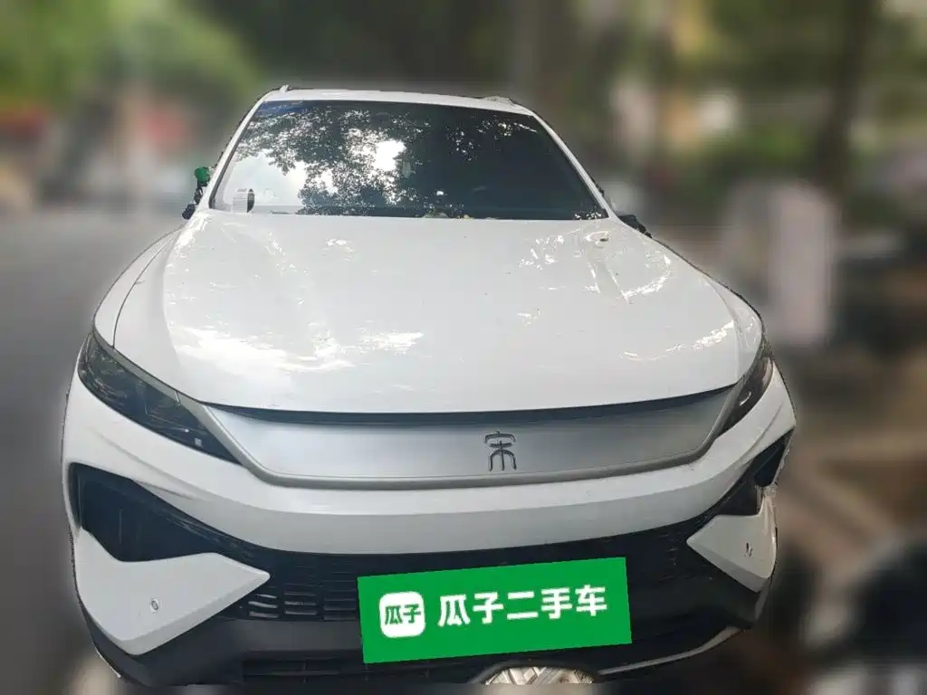 BYD Pro New Energy — миниатюра 2