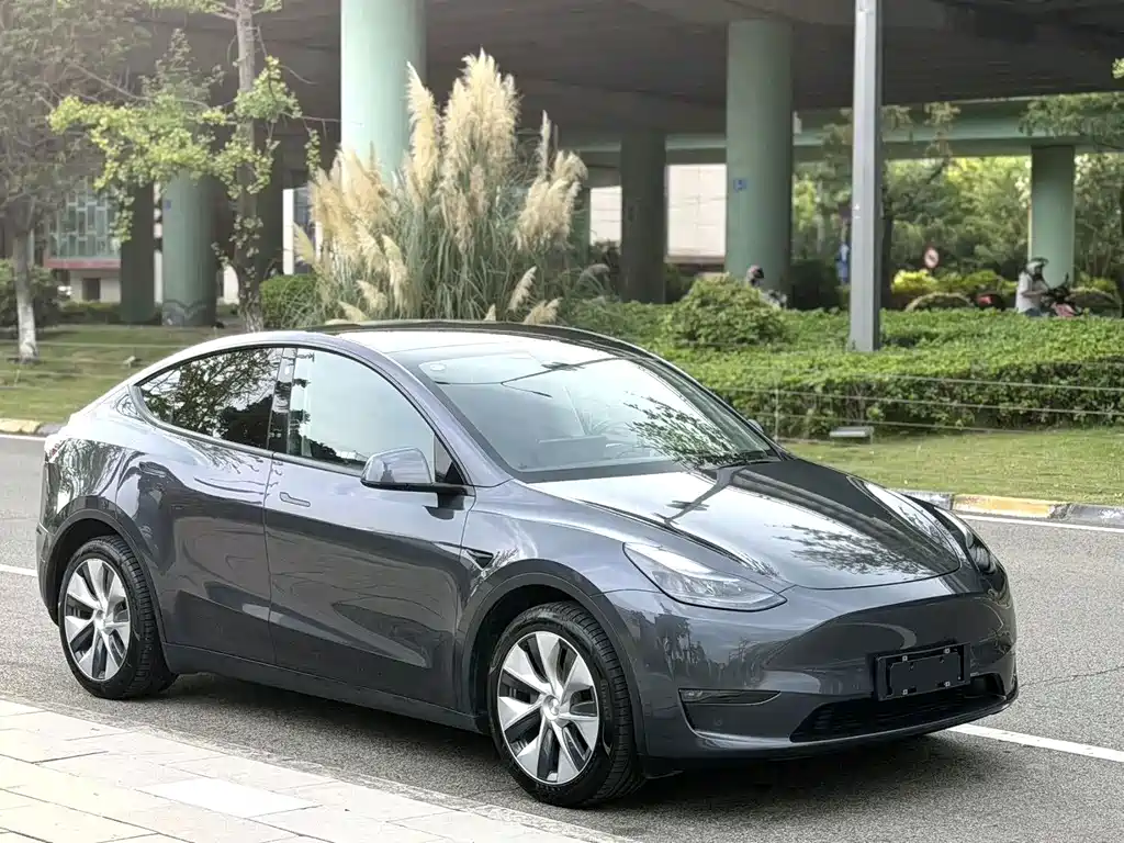 Tesla Model Y — миниатюра 2
